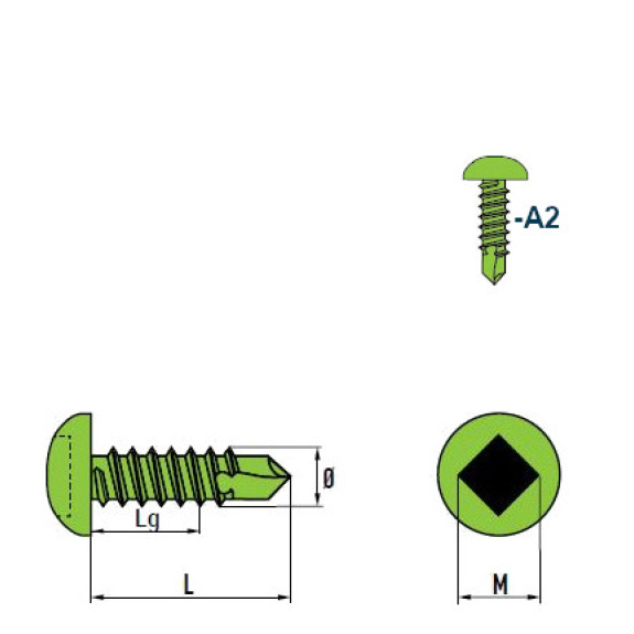 DIN 7504 SQ Vis Autoforeuse-Tête Cylindrique Bombée (SQ) Empreinte Carrée A2 4,2x16 mm  - avec SQ Bit 50mm - 1000 pièces-Lire la description