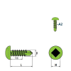 DIN 7504 SQ Vis Autoforeuse-Tête Cylindrique Bombée (SQ) Empreinte Carrée A2 4,2x16 mm  - avec SQ Bit 50mm - 1000 pièces