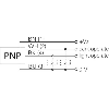 Ampli. fibre PNP Pot. IR LO/DO 10-30Vdc, M12 4P (Fibre Type B)