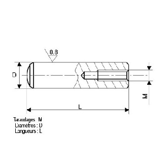 Goupille cylindrique taraudée Acier 16X36 DIN 7979-Lire la description