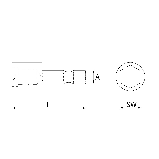 Bithalter mit Magnet - 1/4" - 60 mm - 5 Stück-Beschreibung lesen
