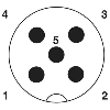 M12A Mâle Droit 5p; Bornes à vis max 0,75mm², Ø2,1-5,2mm Pg11