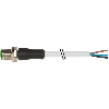 M12A Mâle Droit 4p; Câble PVC 4x0.34 Gris 2m