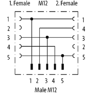 Y-M12 Mâle Droit 5p/2xM12 Fem Droit 4p-Lire la description