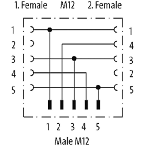 Y-M12 Mâle Droit 5p/2xM12 Fem Droit 4p-Lire la description