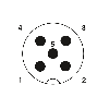 M12A Mâle Droit 5p; Bornes Push-Lock, Ø4-8mm