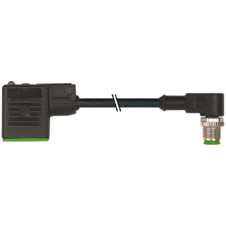 EV Forme BI 11mm 24V LED+ATP/M12 Mâle Coudé; PUR 3x0,75 Noir 0,3m-Lire la description