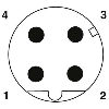 M12D Mâle Droit 4p; Bornes push-in, 4-8mm Profinet