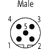 M12B Mâle Droit 5p; Bornes à vis <0.75mm², Ø6-8mm; Blindé; Profibus