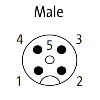 M12 Lite Mâle Coudé 4p; Bornes IDC 0.25-0.5mm², Ø4-5.1mm