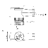 M12A Fem Coudé 5p; Bornes à vis (x4) 0.14-0.75mm², Ø6-8mm Pg7