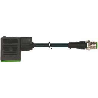 EV Forme BI 11mm/M12 Mâle Droit; PUR-JZ 3x0,75 Noir 3m-Lire la description