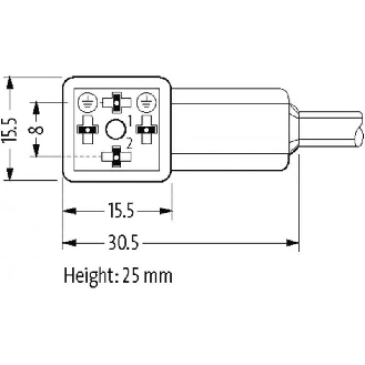 EV Forme C 8mm 24V/M08 Mâle Droit 3p; PUR UL/CSA 3x0.34 Noir 0.3m-Lire la description