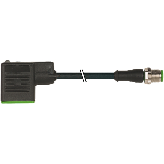 EV Forme BI 11mm/M12 Mâle Droit; PVC-JZ 3x0,75 Noir 5m-Lire la description