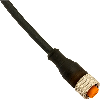 Connect.M12-F,5 poles-2m,PUR,Axial