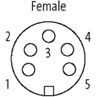 7/8 Fem Droit 5p-Lire la description