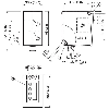 Laser de mesure P=0.2-30m ANA PNP/NPN IO-Link / M12 5P
