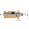 Presse-étoupe BV 2 + Ecrou - laiton naturel - bague néoprène - IP66