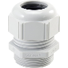 Presse-étoupe polyamide IP69 M 12x1,5 RAL 7035 (Gris clair)