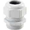 Presse-étoupe polyamide M 63x1,5 RAL 7035 (Gris clair)