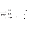 Commutateur de précision M8x28mm PNP NO FP=75g 24Vdc Câble 5m