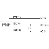 Commutateur de précision M8x27mm PNP NO FP=75g Câble 5m