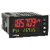 Indicateur pont de jauges 48x96mm 2 lignes 50-250Vac/21,6-250Vdc