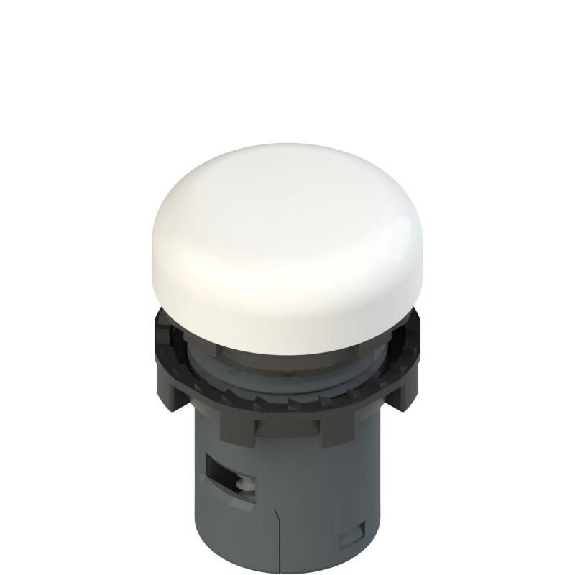 Indicateur lumineux monolithique 230Vac Blanc-Lire la description