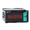 Indicateur entrée pont de jauge et potentiomètre 48x96 S: 2 Relais Ana 100-240Vac