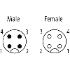 M12A Fem Droit 4p/M12A Mâle Droit 4p; PUR 4x0.34 Gris 1m