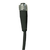 M12A Fem Droit 5p; Câble PVC 5m