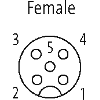 M12A Fem Droit 5p; Câble PUR/PVC 5x0.34 Jaune Cpc 3m