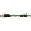M12D Mâle Droit/RJ45 Droit; PUR Blindé 2x2x0.34 Vert Ethernet 30m