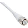 M12A Fem Droit 4p Inox V4A F&B; Câble PP 4x0.34 Gris 25m
