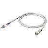M12A Fem Droit 4p; Câble PVC 4 fils 20m