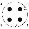 M12D Mâle Droit 4p/M12D Mâle Droit 4p; PVC Blindé Vert 1m Profinet