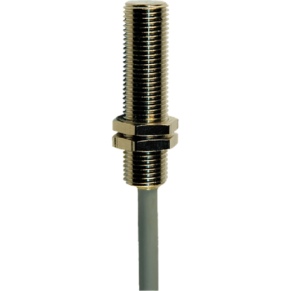 DPM M10 REED NO 250VAC/DC Laiton 40mm / Câble 5m PVC-Lire la description