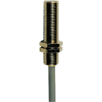 DPM M10 REED NO 250VAC/DC Laiton 40mm / Câble 5m PVC-Lire la description