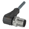 M12A Mâle Droit 4p; Câble PVC 4x0.34 Gris Cpc 2m (250V)