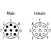 M12A Fem Droit 8p/M12A Mâle Droit 8p; PUR UL/CSA 8x0,25 Gris Cpc 10m