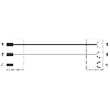 M08A Fem Coudé 3p/M08A Mâle Coudé 3p; Câble PUR 3x0,25 Gris Cpc 0.3m