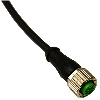 M12A Fem Droit 5p; Câble PVC 10m