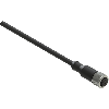 M12A Fem Droit 12p; Câble PVC 12 fils Noir 5m