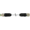 M12A Fem Droit/M12A Mâle Droit; PUR/PVC Blindé 4x0,34 Gris 2m