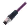 M12B Mâle Droit 2p; Câble PUR Blindé 2x0.34 Violet Cpc 2m