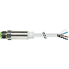 M12A Mâle Droit 4p Inox V4A F&B; Câble TPE-S 4x0,34 Gris 10m