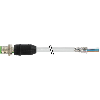 M12A Mâle Droit 8p; Câble PUR (UL/CSA) Blindé 8x0.25 Gris Cpc 10m