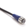 M12A Fem Droit 4p; Câble PVC 4 fils Noir 10m
