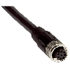 M12 Mâle Droit 8p; Câble PUR 8x0.25 Noir Cpc 10m