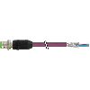 M12D Mâle Droit 4p; Câble PUR Blindé 2x2x0.34 Violet Ethernet 3m